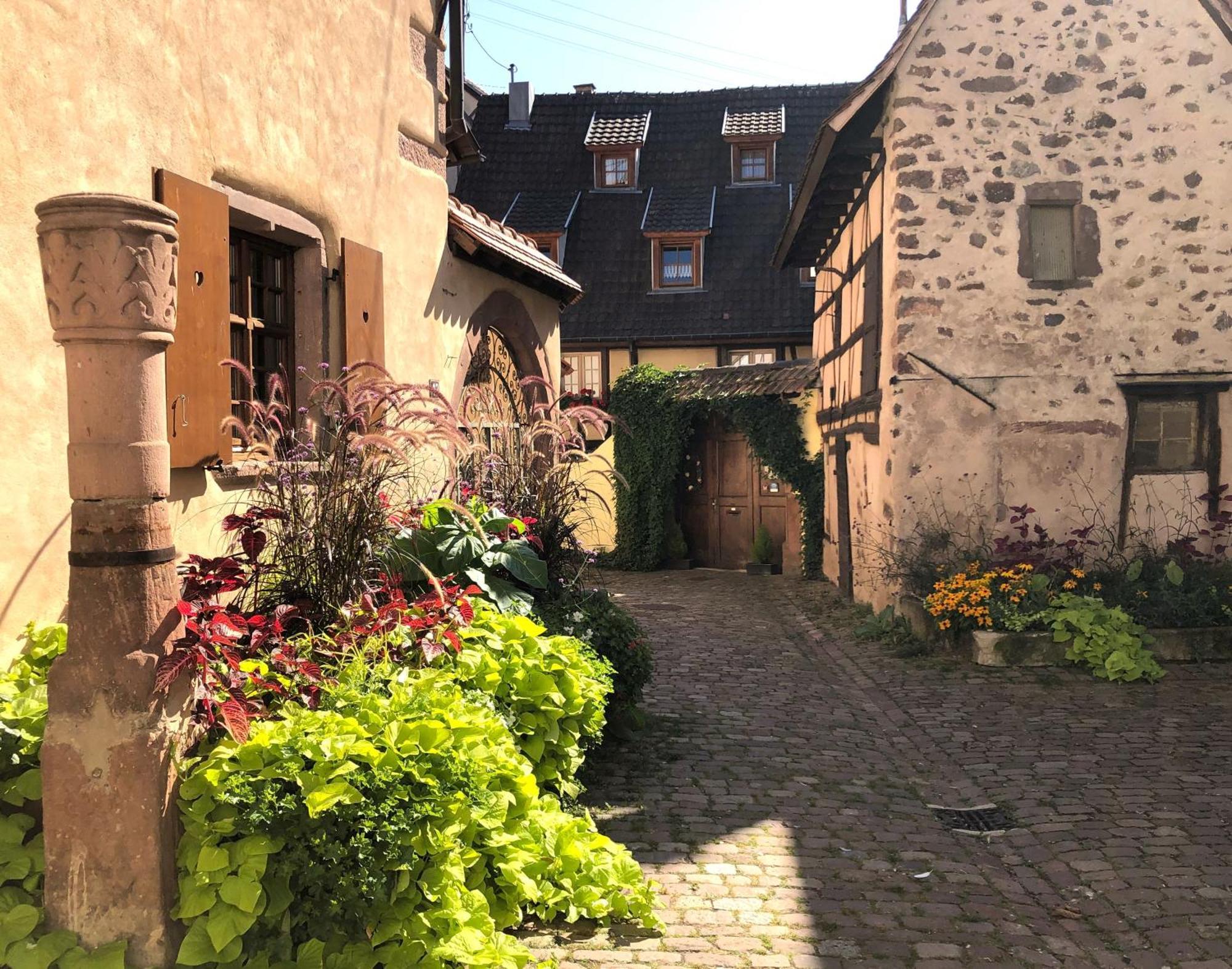 Les Gites Coeur De Vigne Riquewihr Exterior photo